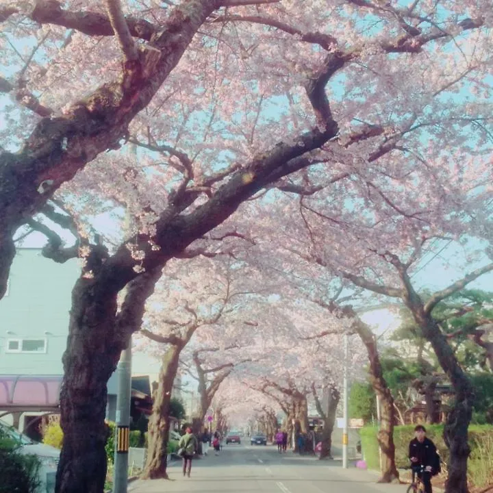 Stay Akeboshi Kan Hakodate